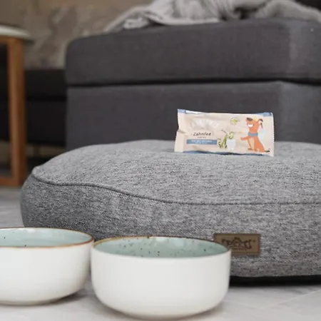 Daire Gemuetliches Hinterm Deich Friedrichskoog